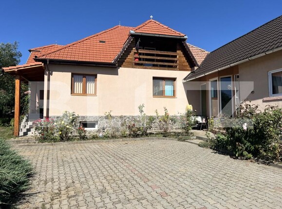 Spațiu industrial de vânzare Frunzeni - 205768SVI | BLITZ Târgu Mureș | Poza5