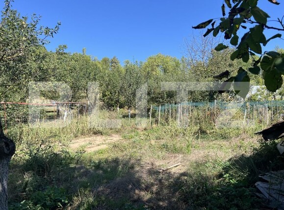 Spațiu industrial de vânzare Frunzeni - 205768SVI | BLITZ Târgu Mureș | Poza7