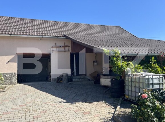 Spațiu industrial de vânzare Frunzeni - 205768SVI | BLITZ Târgu Mureș | Poza6