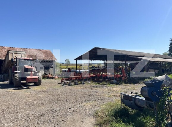Spațiu industrial de vânzare Frunzeni - 205768SVI | BLITZ Târgu Mureș | Poza4