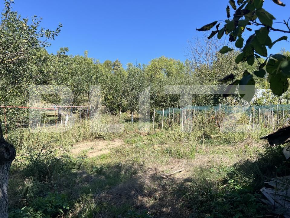 Spațiu industrial de vânzare Frunzeni - 205768SVI | BLITZ Târgu Mureș | Poza7