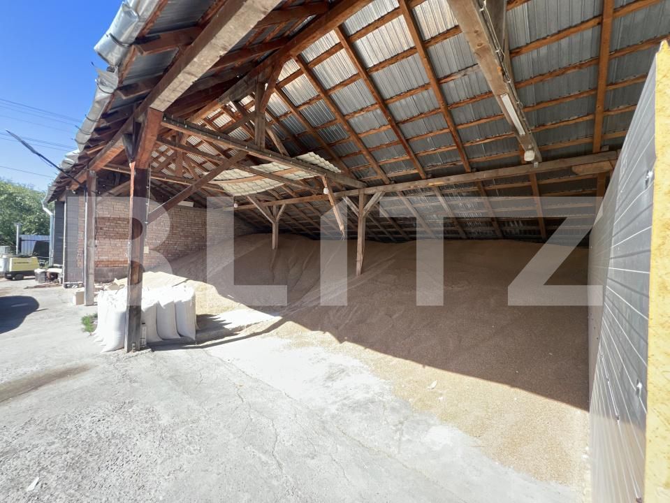 Spațiu industrial de vânzare Frunzeni - 205768SVI | BLITZ Târgu Mureș | Poza2