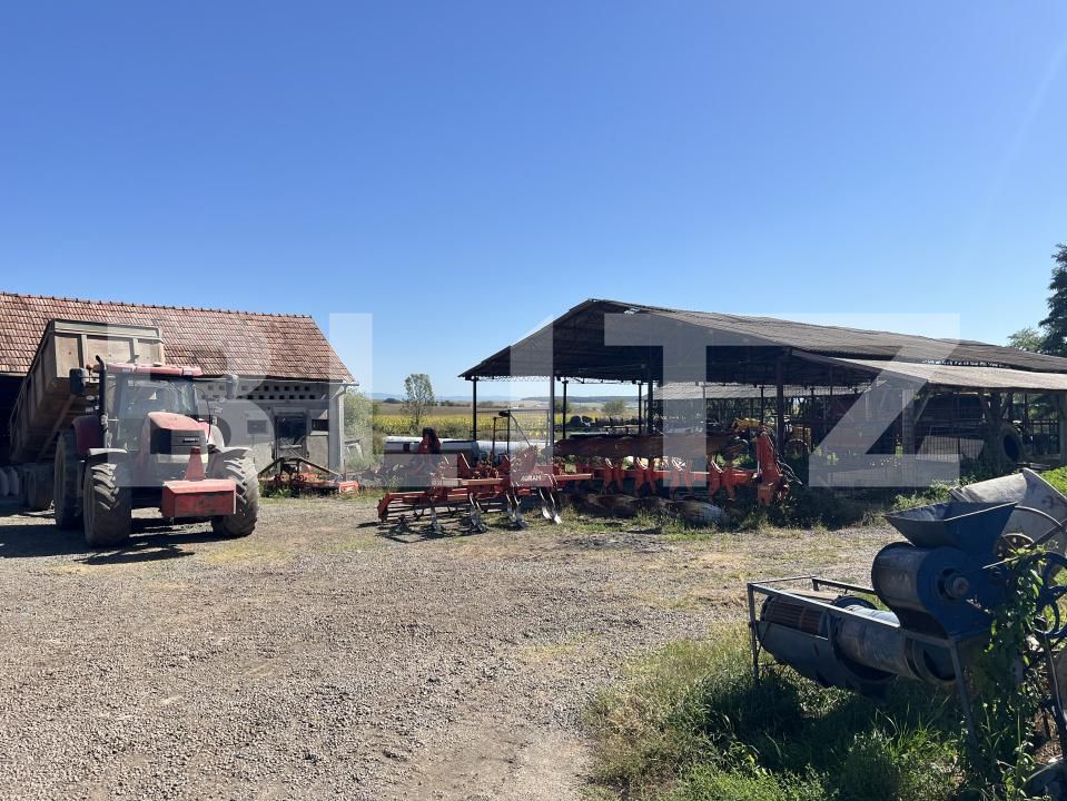 Spațiu industrial de vânzare Frunzeni - 205768SVI | BLITZ Târgu Mureș | Poza4