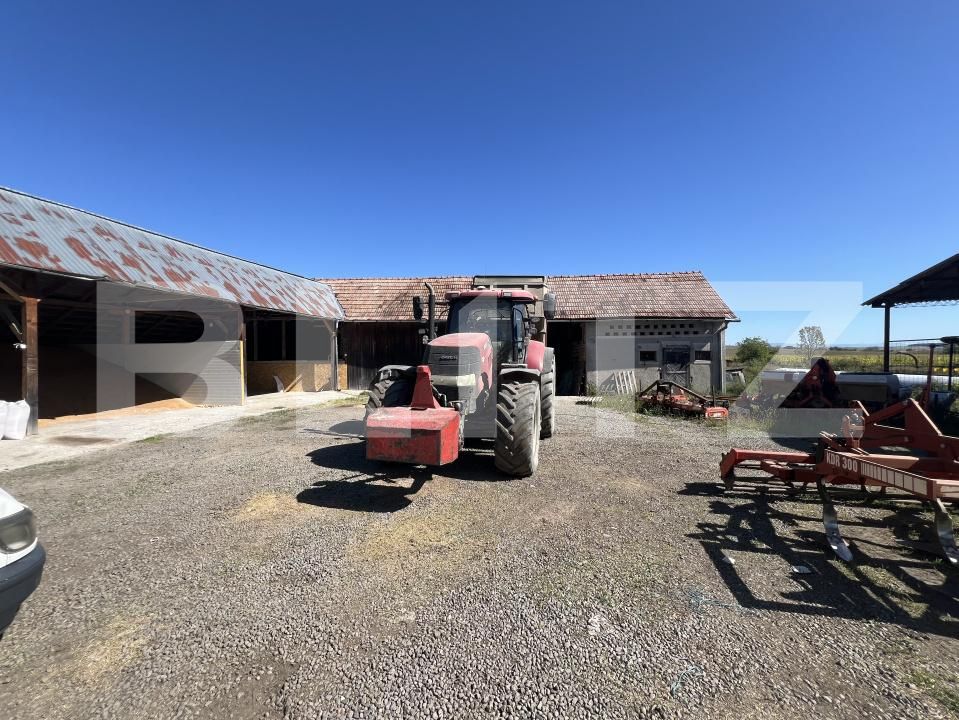 Spațiu industrial de vânzare Frunzeni - 205768SVI | BLITZ Târgu Mureș | Poza3