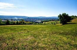 Teren de vanzare, 10.000 mp, zona Unirii 