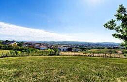Teren de vanzare, 10.000 mp, zona Unirii 