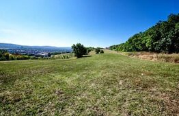 Teren de vanzare, 10.000 mp, zona Unirii 