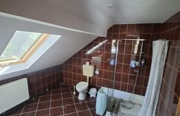 Casa de vanzare, 350 mp, zona Danes 
