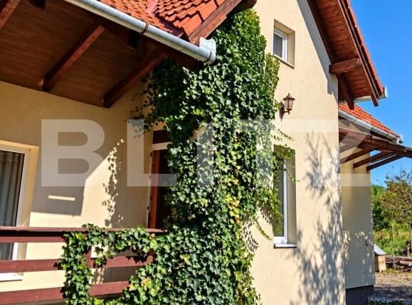 Casa de vânzare 5 camere Crăciunești - 206134CV | BLITZ Târgu Mureș | Poza2