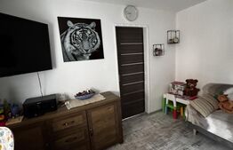 Apartament 2 camere, 30 mp, zona Rovinari