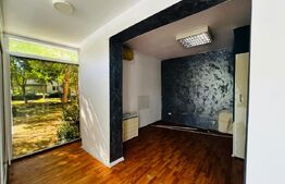 Spatiu comercial, 32.89 mp, zona Tudor