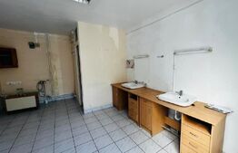 Spatiu comercial, 32.89 mp, zona Tudor