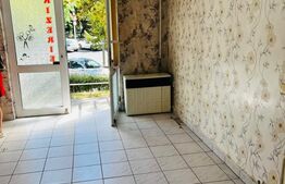 Spatiu comercial, 32.89 mp, zona Tudor