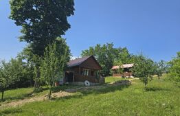 Livada de vanzare, 16.000 mp, zona Hodac