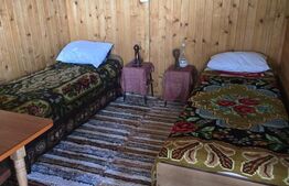 Livada de vanzare, 16.000 mp, zona Hodac