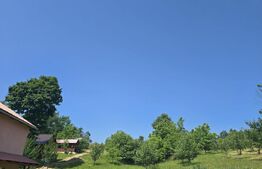 Livada de vanzare, 16.000 mp, zona Hodac