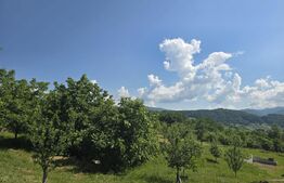 Livada de vanzare, 16.000 mp, zona Hodac