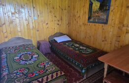 Livada de vanzare, 16.000 mp, zona Hodac