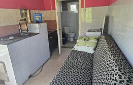 Livada de vanzare, 16.000 mp, zona Hodac