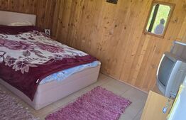 Livada de vanzare, 16.000 mp, zona Hodac