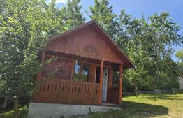 Livada de vanzare, 16.000 mp, zona Hodac