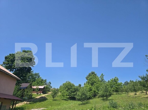 Teren de vânzare Hodac - 206270TV | BLITZ Târgu Mureș | Poza1