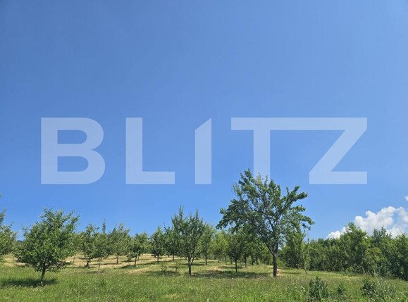 Teren de vânzare Hodac - 206270TV | BLITZ Târgu Mureș | Poza23