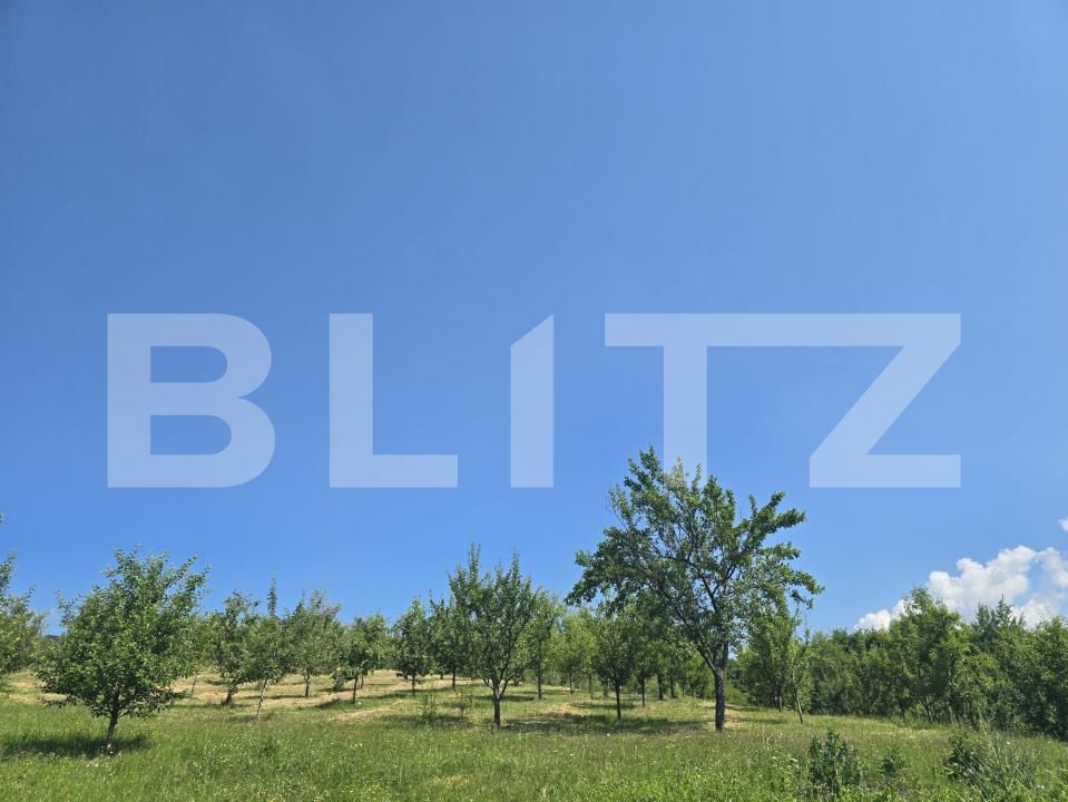 Teren de vânzare Hodac - 206270TV | BLITZ Târgu Mureș | Poza23