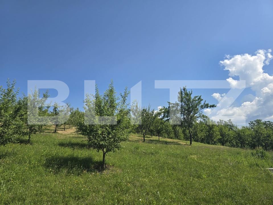 Teren de vânzare Hodac - 206270TV | BLITZ Târgu Mureș | Poza25