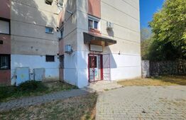 Spatiu comercial, 80 mp, zona Rovinari