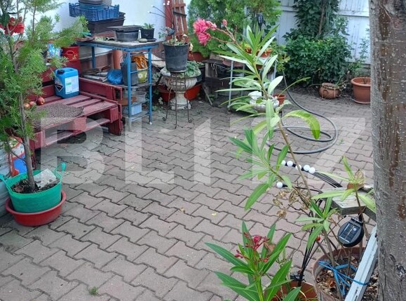 Casa de vânzare 3 camere 7 Noiembrie - 206310CV | BLITZ Târgu Mureș | Poza17