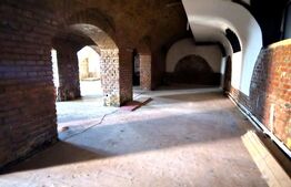 Spatiu comercial, 1300 mp, zona Aleea Carpați