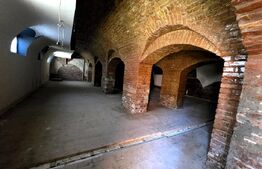 Spatiu comercial, 1300 mp, zona Aleea Carpați