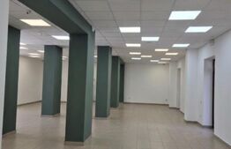 Spatiu comercial, 1300 mp, zona Aleea Carpați