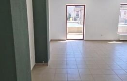 Spatiu comercial, 1300 mp, zona Aleea Carpați