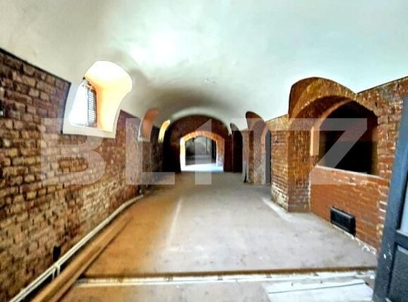 Spațiu comercial de vânzare Aleea Carpati - 206400SVC | BLITZ Târgu Mureș | Poza19