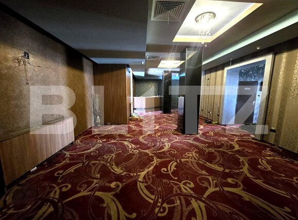 Spațiu comercial de vânzare Aleea Carpati - 206400SVC | BLITZ Târgu Mureș | Poza9