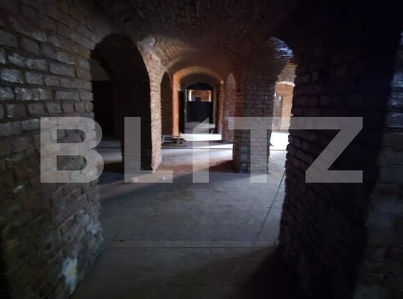 Spațiu comercial de vânzare Aleea Carpati - 206400SVC | BLITZ Târgu Mureș | Poza15