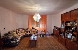 Proprietate 2 case, 240 mp, anexe, teren 3.398 mp, zona Deaj