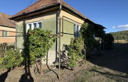 Casa de vanzare, 66 mp, teren intravilan 2.530 m, zona Ernei