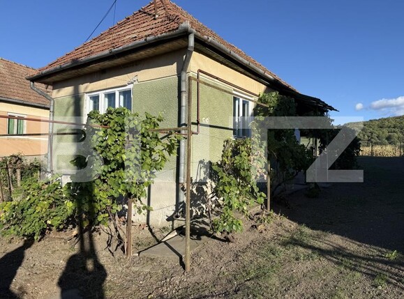Casa de vânzare 2 camere Ernei - 206626CV | BLITZ Târgu Mureș | Poza6