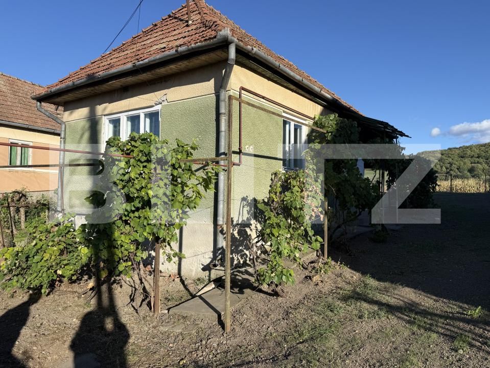Casa de vânzare 2 camere Ernei - 206626CV | BLITZ Târgu Mureș | Poza6
