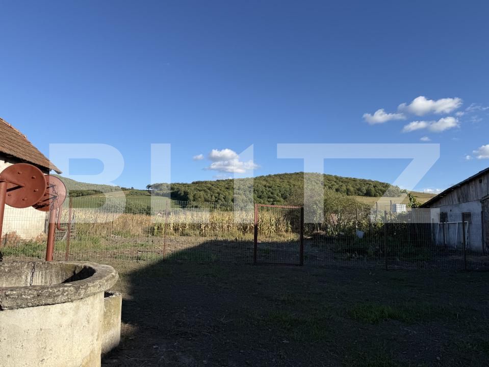 Casa de vânzare 2 camere Ernei - 206626CV | BLITZ Târgu Mureș | Poza3