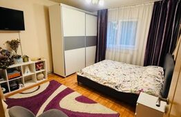Apartament cu 1 camera, 29 mp, zona 1 Decembrie 1918 
