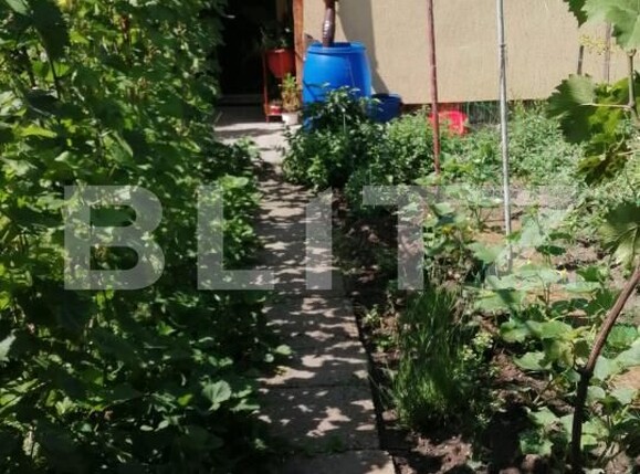 Casa de vânzare 3 camere Libertatii - 206724CV | BLITZ Târgu Mureș | Poza3