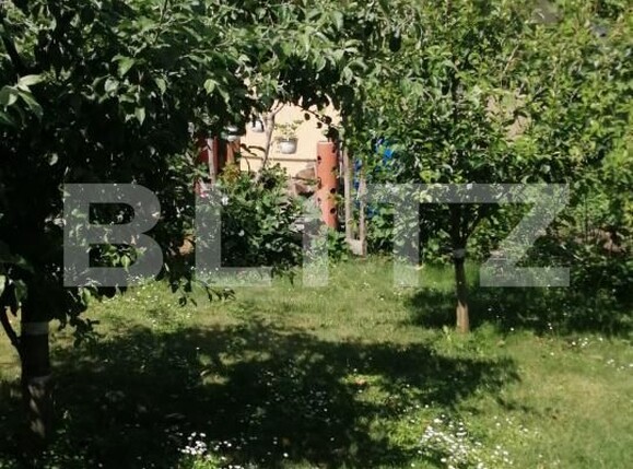 Casa de vânzare 3 camere Libertatii - 206724CV | BLITZ Târgu Mureș | Poza2