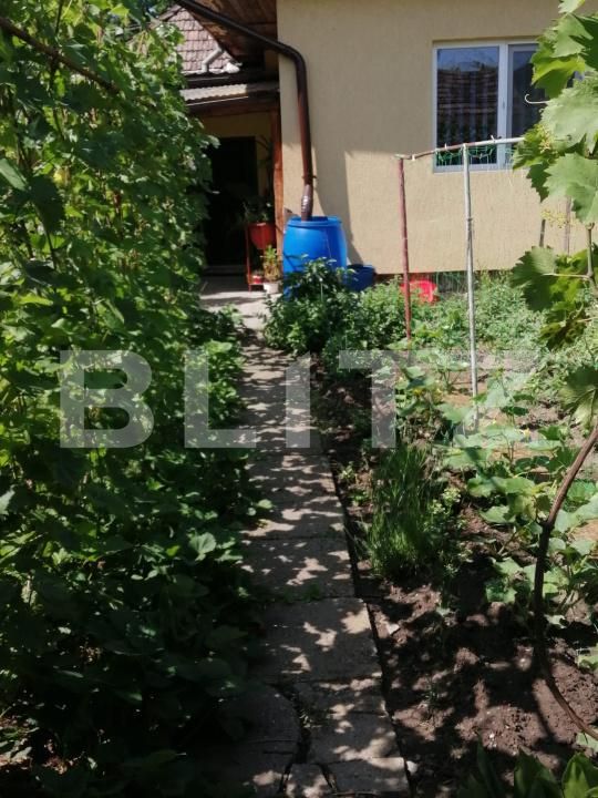 Casa de vânzare 3 camere Libertatii - 206724CV | BLITZ Târgu Mureș | Poza3