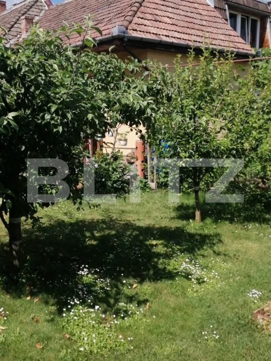 Casa de vânzare 3 camere Libertatii - 206724CV | BLITZ Târgu Mureș | Poza2