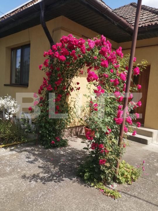 Casa de vânzare 3 camere Libertatii - 206724CV | BLITZ Târgu Mureș | Poza4