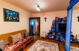 Apartament de vanzare - 2 camere - Zona Tudor 